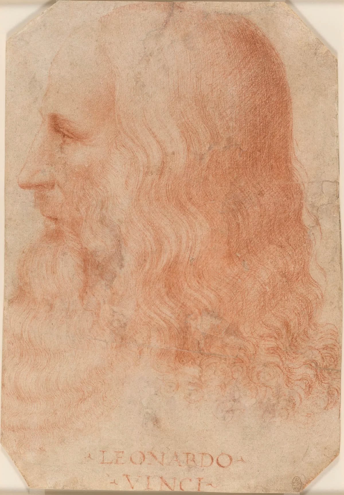 Portrait of Leonardo da Vinci
